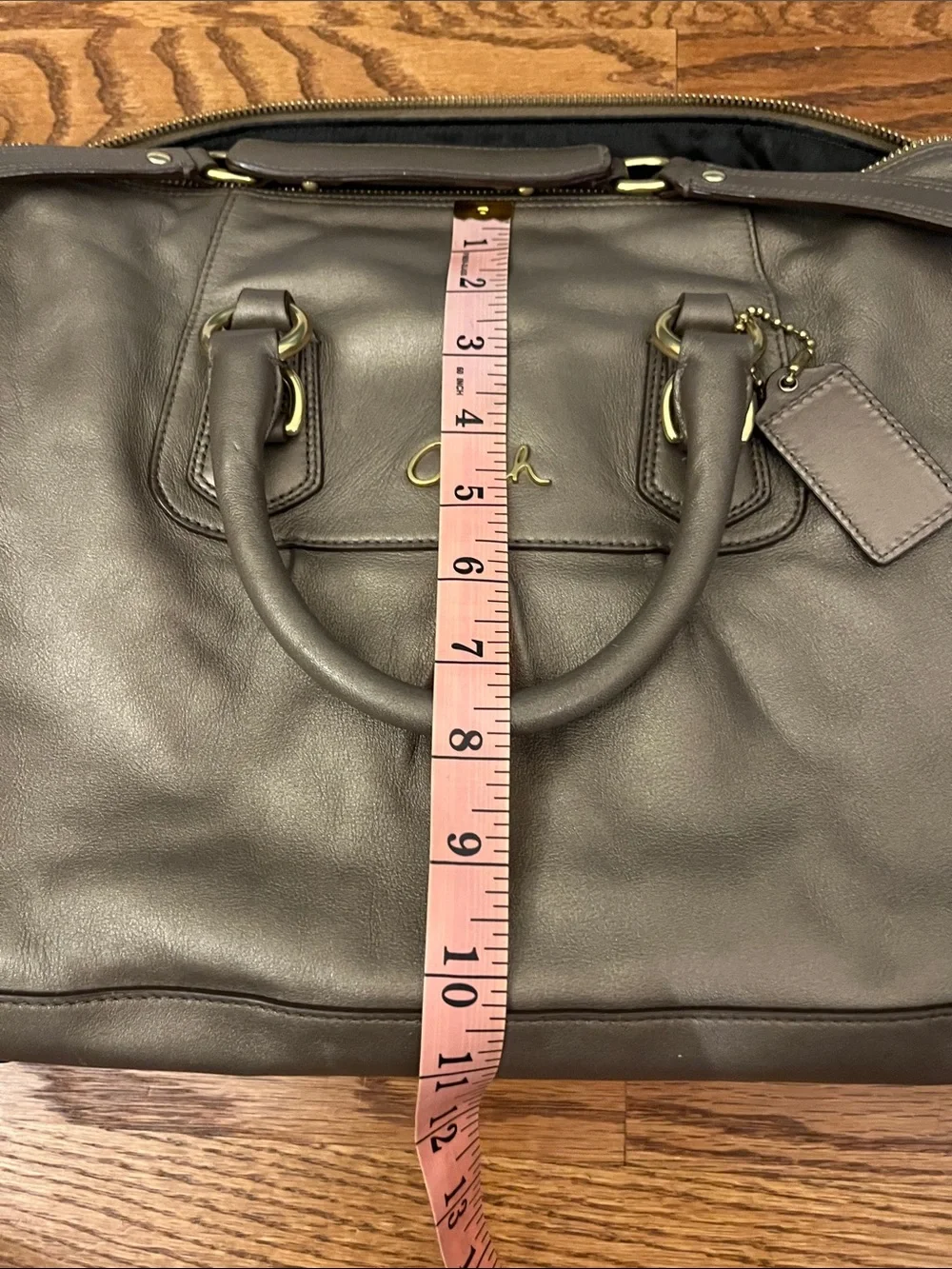 Coach ASHLEY Leather Satchel Handbag Metallic Bronze/Gunmetal no F15447